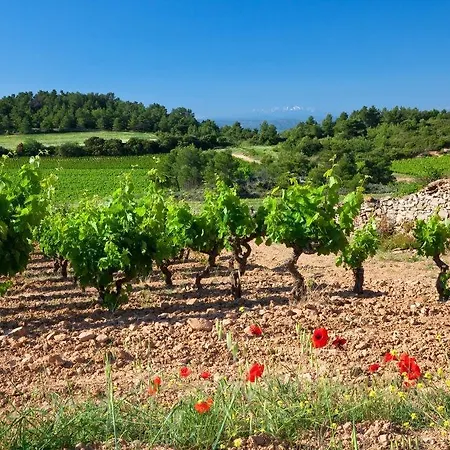Contact Le Minervois - & Restaurant Au Nord De Carcassonne