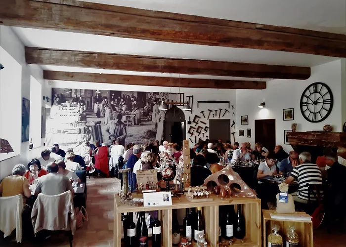 Contact Le Minervois - & Restaurant Au Nord De Carcassonne Hotell