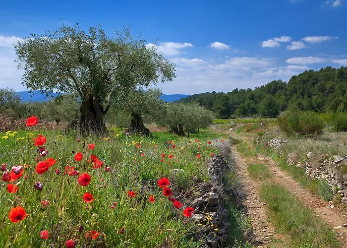 Hotell Contact Le Minervois - & Restaurant Au Nord De Carcassonne