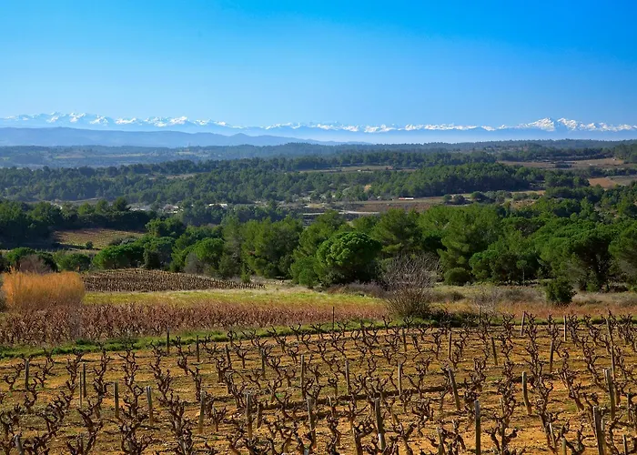 Contact Le Minervois - & Restaurant Au Nord De Carcassonne Hotell 3*